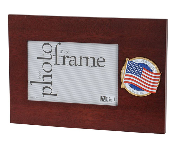 United States of America Flag Medallion Frame
