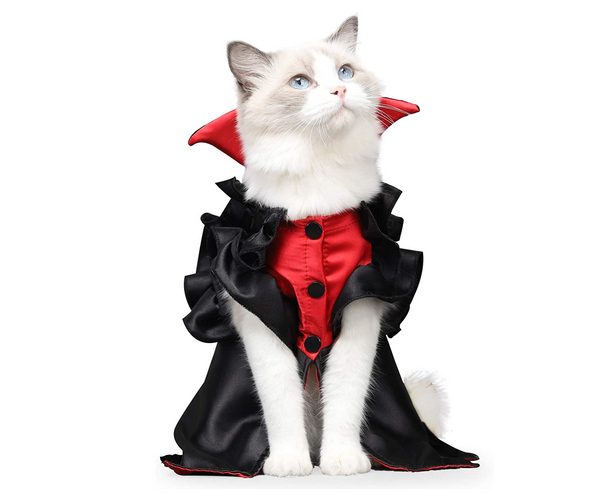 Vampire Cat Costume