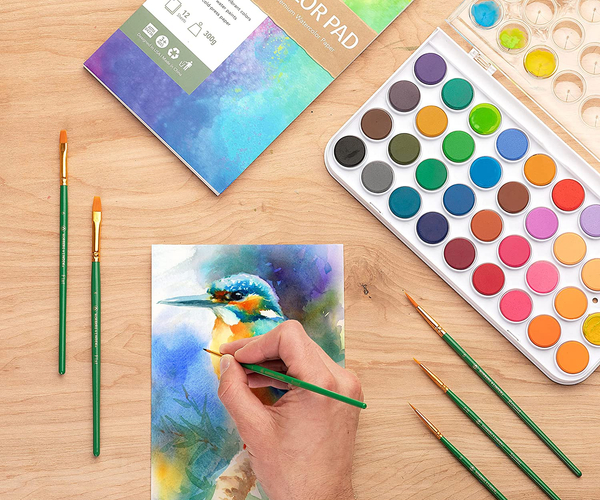 Watercolor Paint Set for Beginners