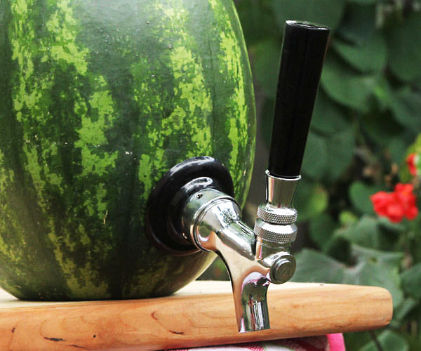 Watermelon Tap Kit