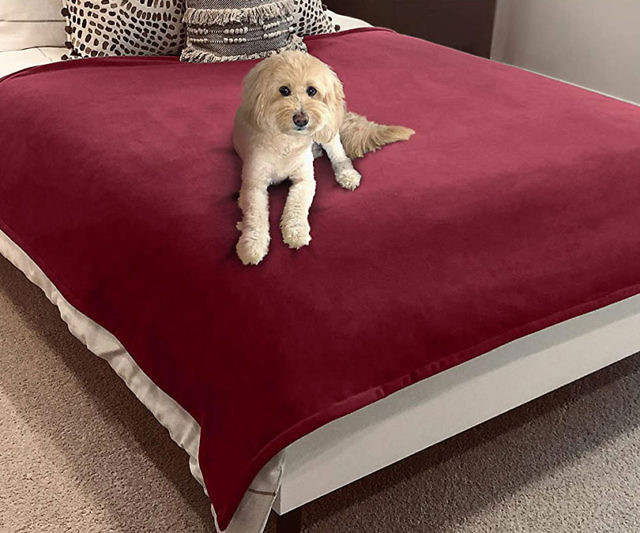 Waterproof & Pet-Proof Blanket