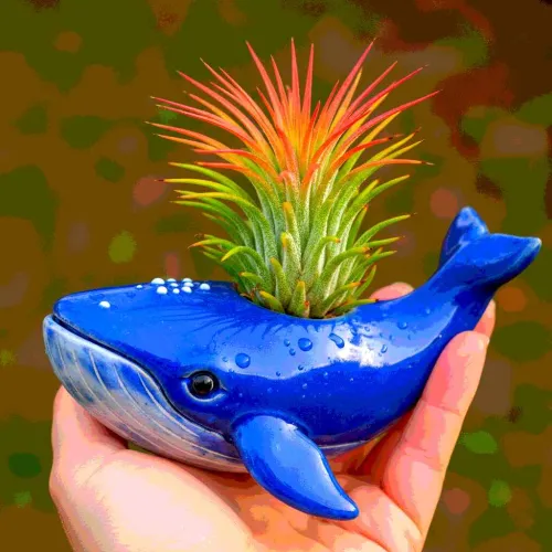 31 Majestic Whale Gifts That Are Perfect For Anyone Obsessed With Whales