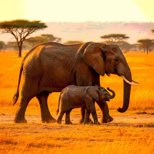 23 Really Funny White Elephant Gifts That Everyone Will Secretly Want For Themselves