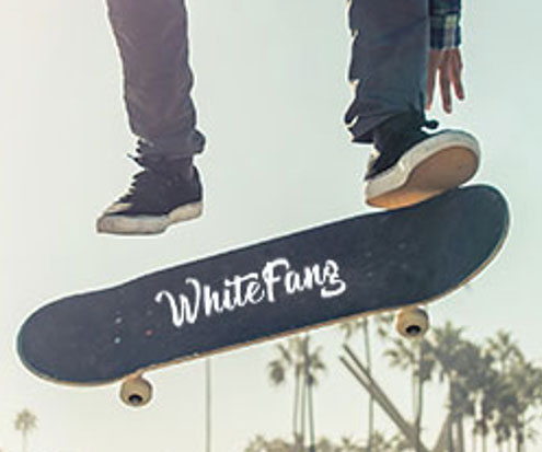 WhiteFang Skateboard For Beginners