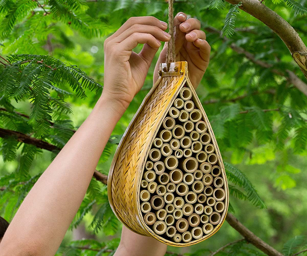 Wild Pollinator Hive