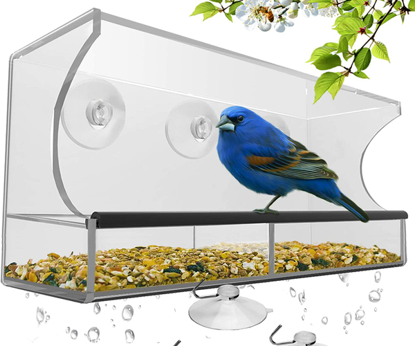 Window Bird Feeder