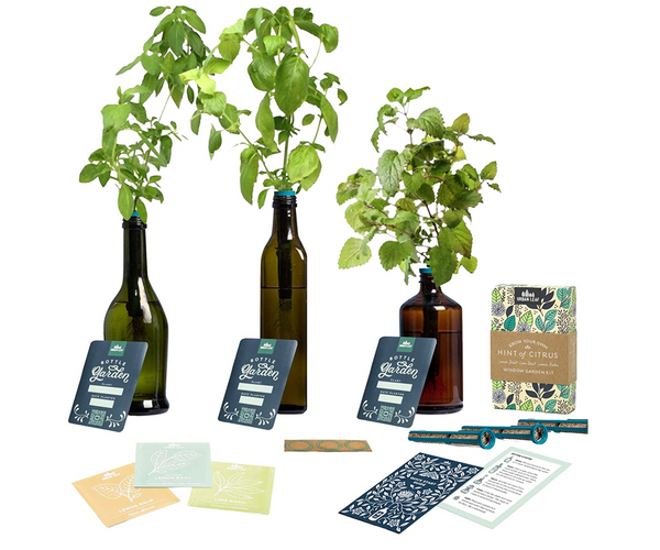 Windowsill Herb Garden Kit