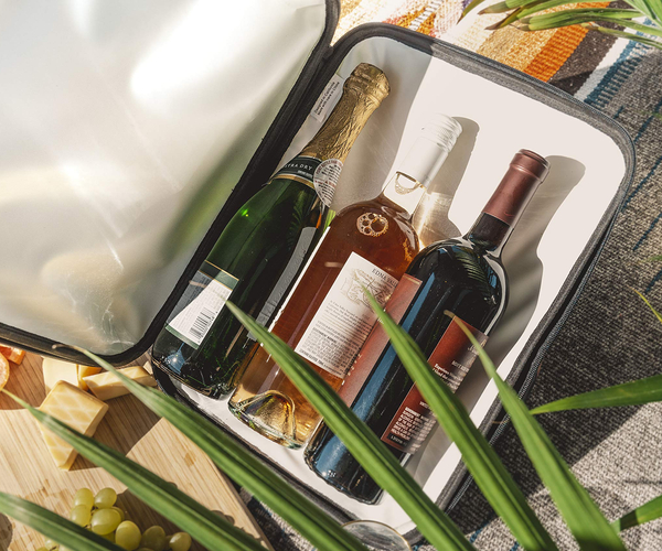 Wine Cooler Briefcase