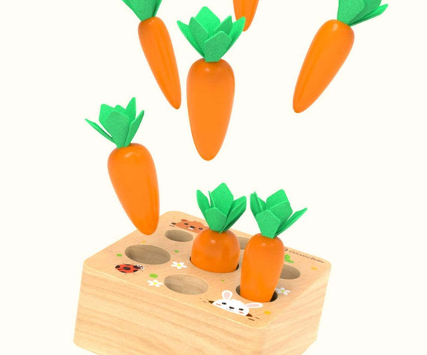 Wooden Carrot Sorting Puzzle