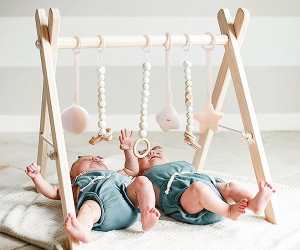 Wooden Gym Set for Twins